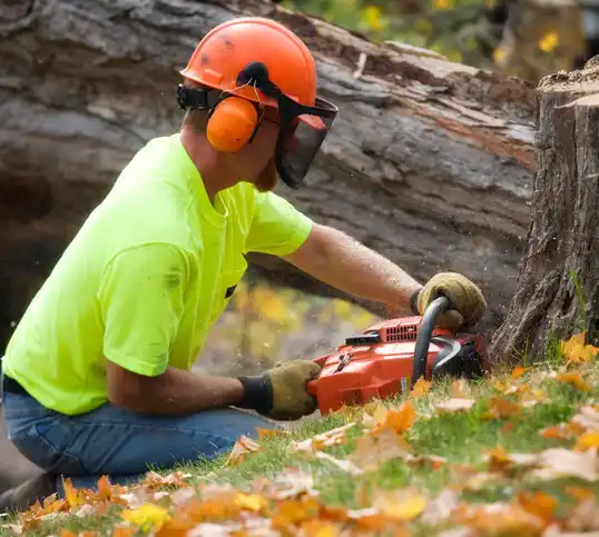 tree services Addyston